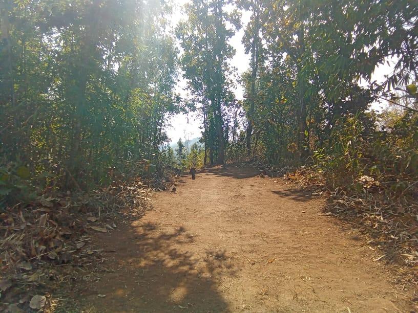 C:\Users\Lavinia Pde\Pictures\Camera Roll\IMG-20220713-WA0020.jpg